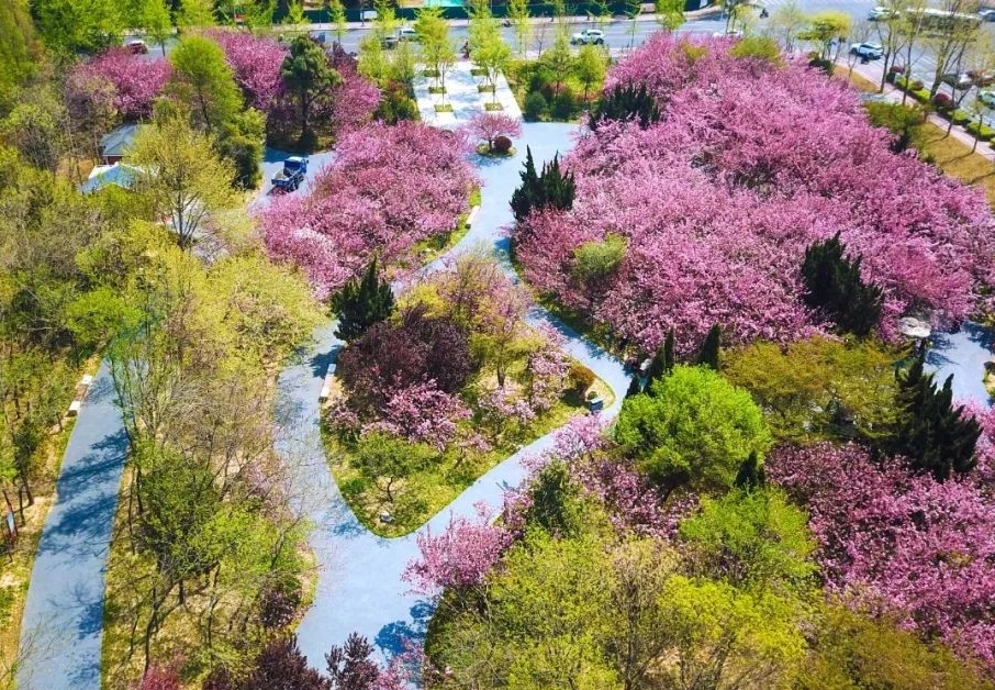 日照樱花园污水泵站及海曲路智能截流井工程