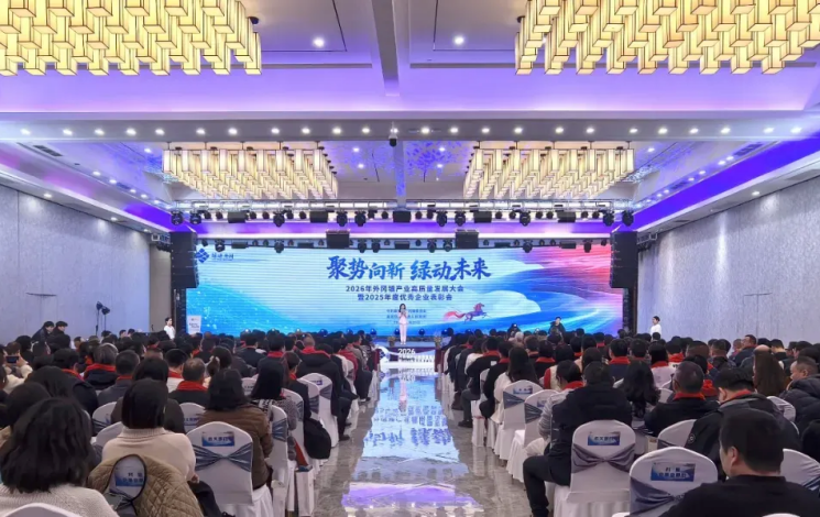 匠心铸就荣誉，创新引领未来！汩鸿环保荣膺2025年度外冈镇荣誉企业